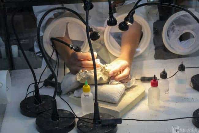 Prehistoric Fossils Lab-Visitor Center-Badlands NP-Person working on a fossil under multiple lamps in a laboratory setting.