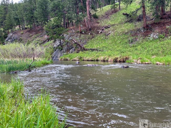 View of the BoxElder Creek Steamboat Rock Picnic Ground flowing through a lush, forested landscape with green grass, pine trees, and rocks.