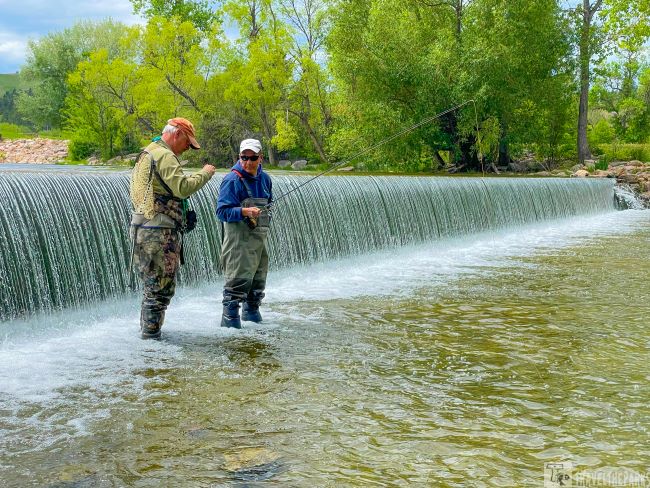 Two people in fishing gear standing in a stream by a small waterfall in a green, wooded area.