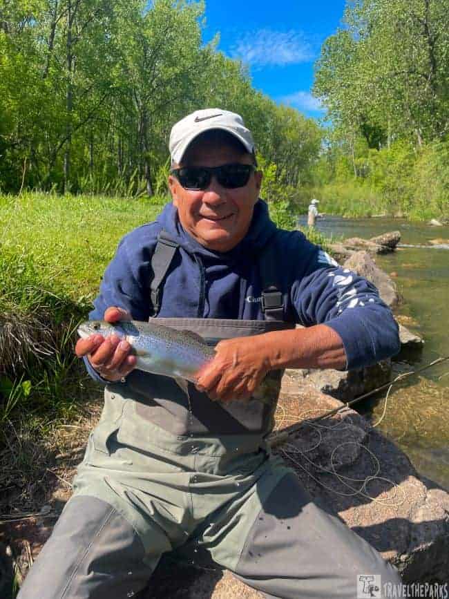 Person holding a fish by a stream in a green, tree-filled landscape.
