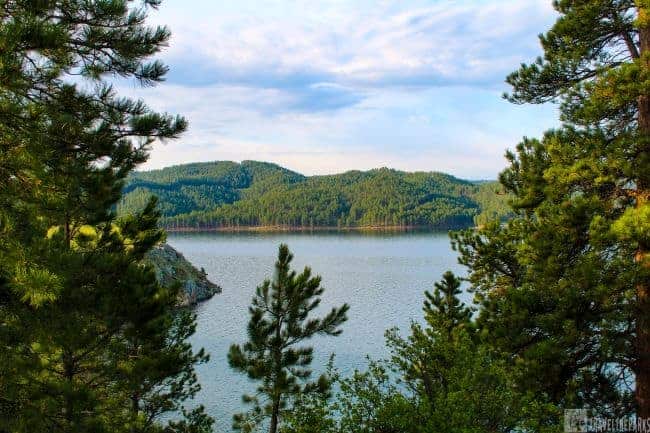 View of a lake surrounded by pine trees and rolling green hills under a partly cloudy sky at Custer State Park.