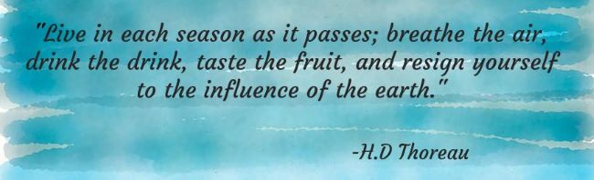 “Live in each season as it passes; breathe the air, drink the drink, taste the fruit, and resign yourself to the influence of the earth." -H.D Thoreau