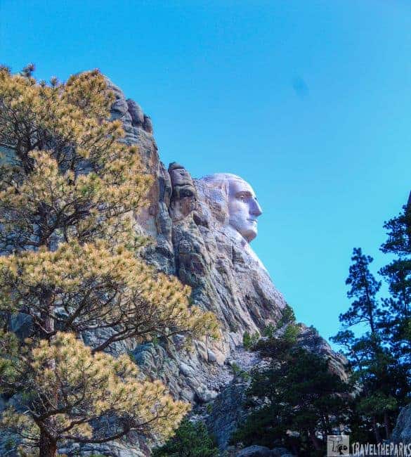 Carved head-George Washington Profile View on Mount Rushmore seen among vertical rock formations under a blue sky.