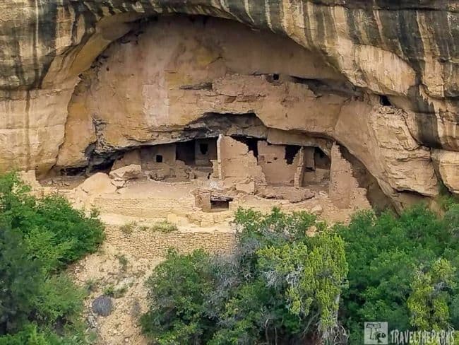 View of OaK Tree House ancient cliff dwellings set within a large rock alcove, surrounded by greenery in Mesa Verde National Park