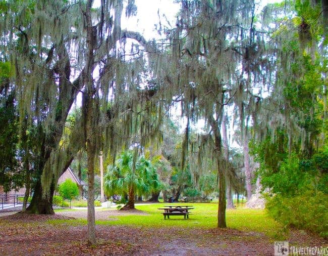 Military Road-Picnic Area Fort Frederica