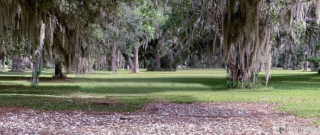 Houstoun House Fort Frederica