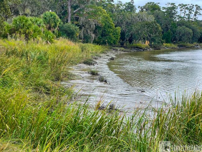 This is the view of the Frederica River from the fort.