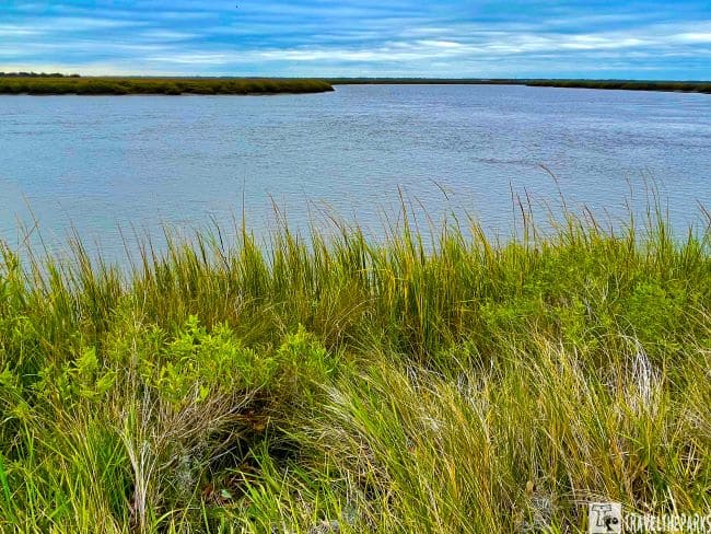 Views of the Coastal Marsh Frederica River