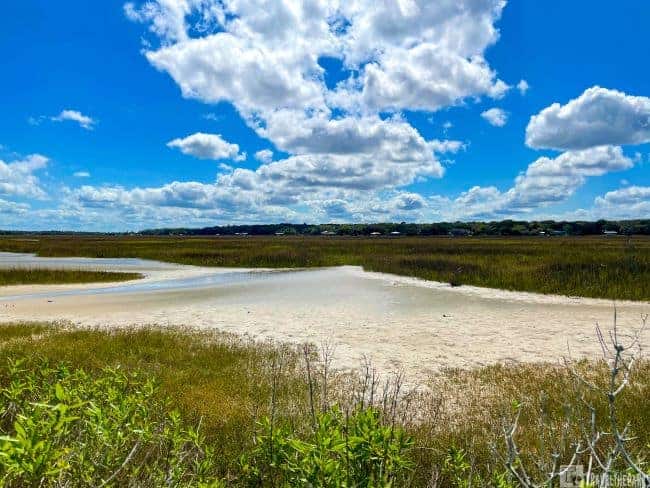 Battle of Bloody Marsh Site-Marshland view