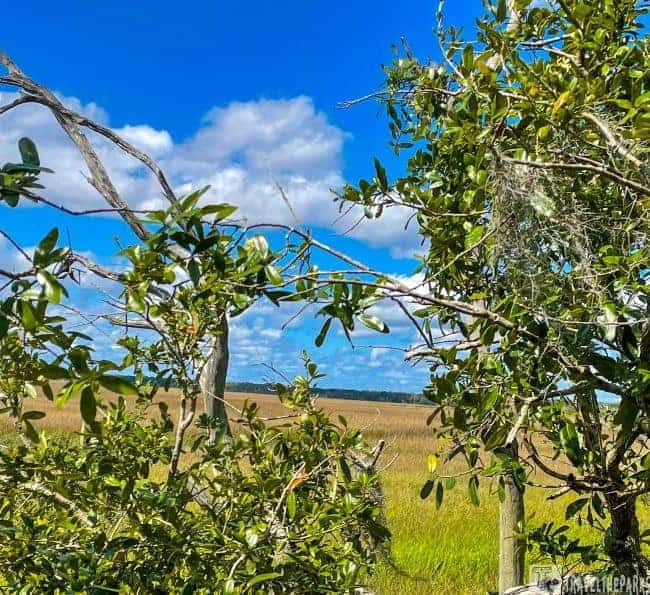 Marshland Views-Battle of Bloody Marsh