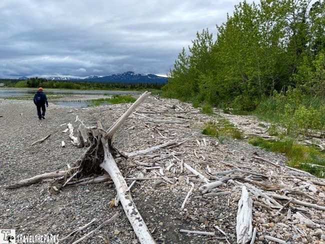 Man walking on a driftwood lNakenek Lake
