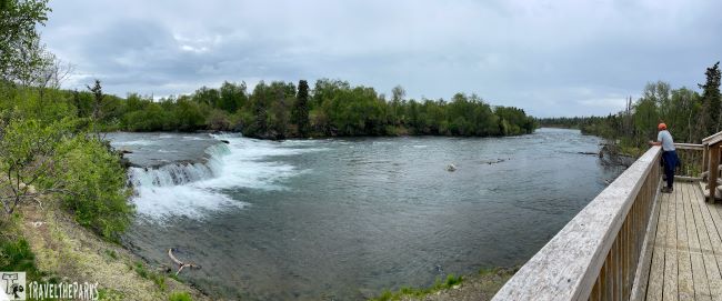Panoramic view of Brooks Falls from the Platform
