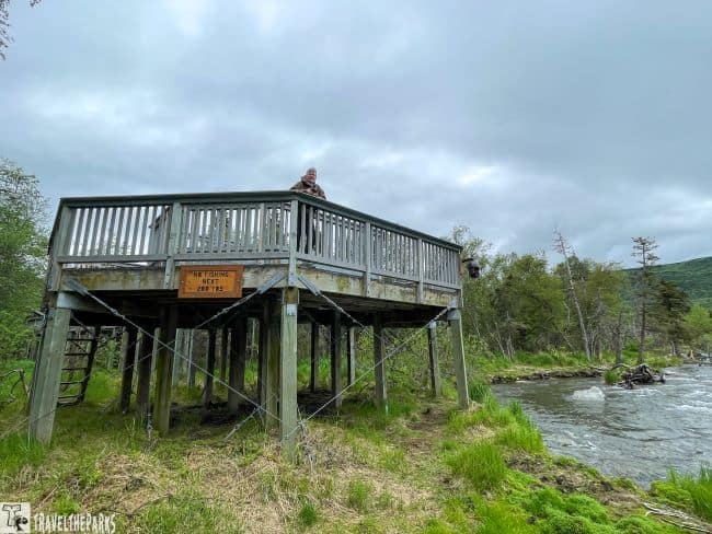 Riffles Platform on Brooks River-Katmai