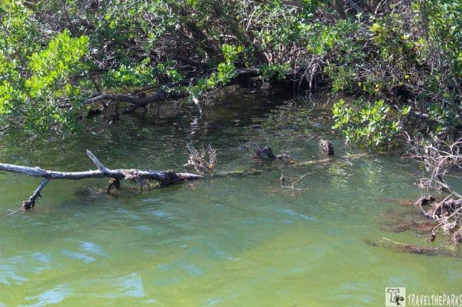 Water Estuary views of Robinson Preserve