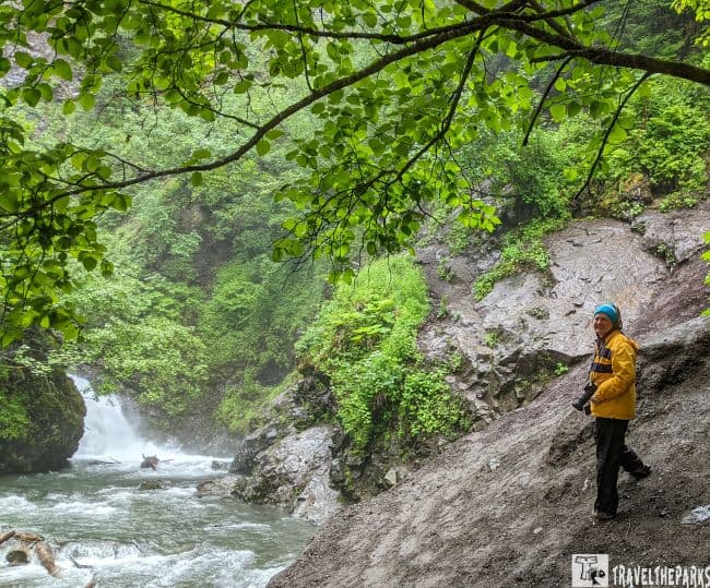 a lush, verdant scene at the Thunderbird Falls hike along the Glenn Highway National Scenic Byway. In the foreground, a person in a yellow jacket and a blue beanie stands on a sloped, muddy path beside a rushing river. The individual appears to be carefully navigating the uneven terrain. The river flows rapidly over rocks, creating whitewater, while the left side of the image is dominated by dense green foliage and a small cascading waterfall. Overhead, green leaves from tree branches form a natural canopy, adding to the serene atmosphere. The background is filled with rugged, moss-covered rocks and abundant greenery.