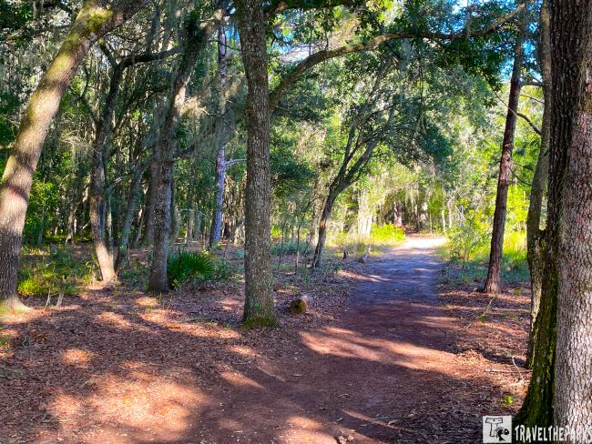 Lake Louisa Nature Trail