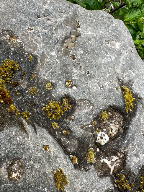 Fossilized Rocks in the Valley of ten thousand smokes